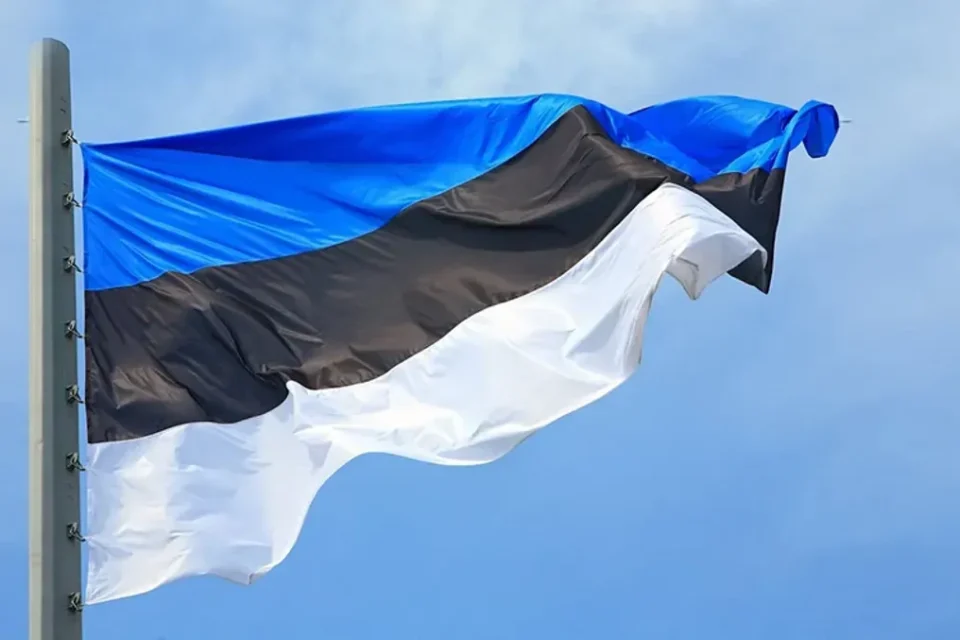 Естонія звинувачує російське глушіння у вибуху імовірно українського дрона - Bloomberg