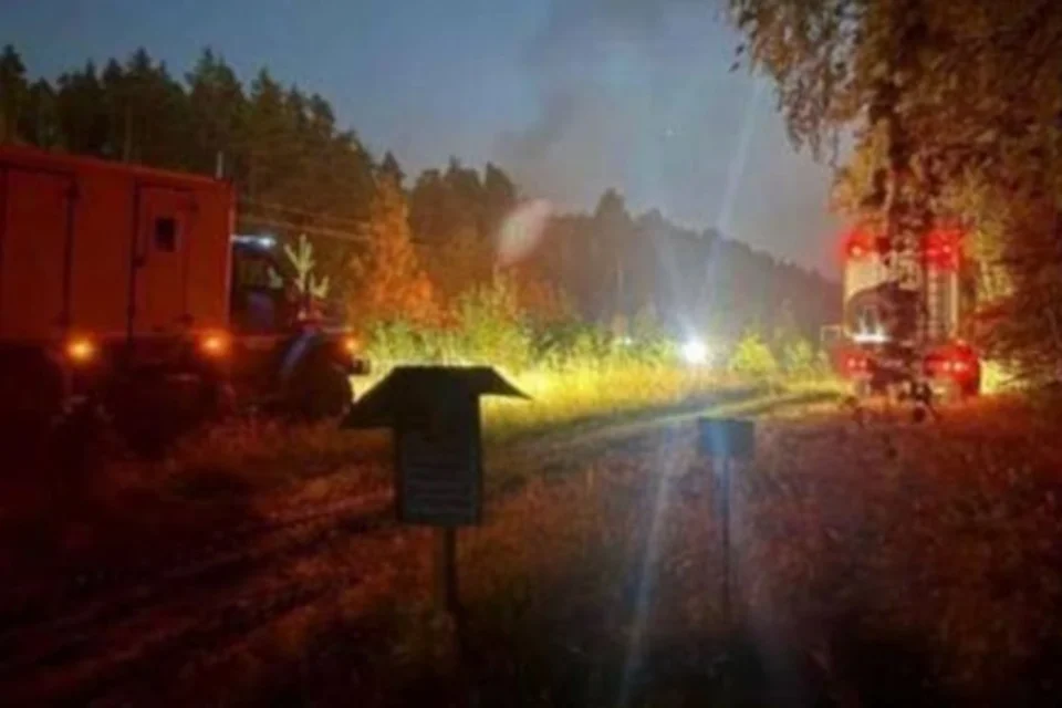 Українські Національні Новини (УНН)