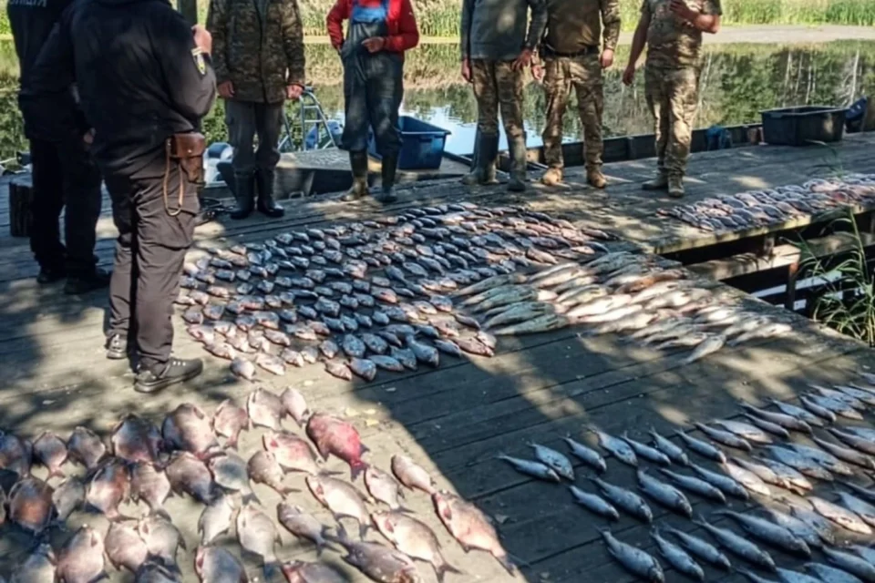Браконьєри ловили рибу в радіаційній зоні на Київщині, завдавши збитків на мільйони - поліція