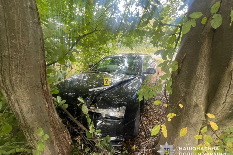Водійка не впоралася з керуванням при обгоні вантажівки: у ДТП травмувалося 3 дітей, у тому числі немовля