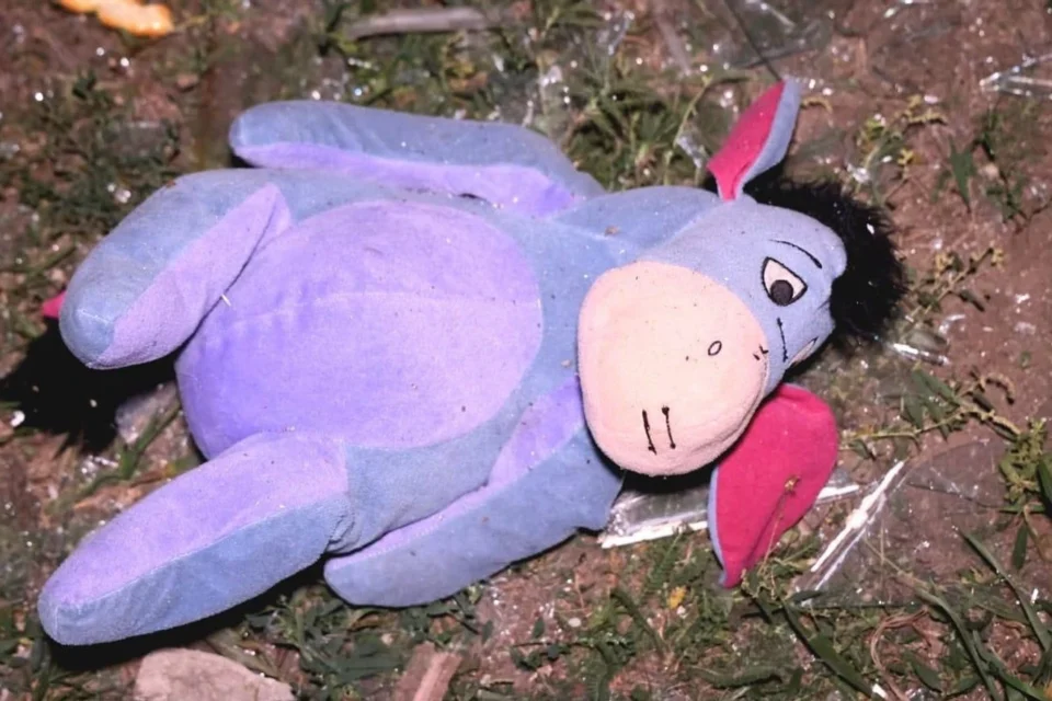 Українські Національні Новини (УНН)