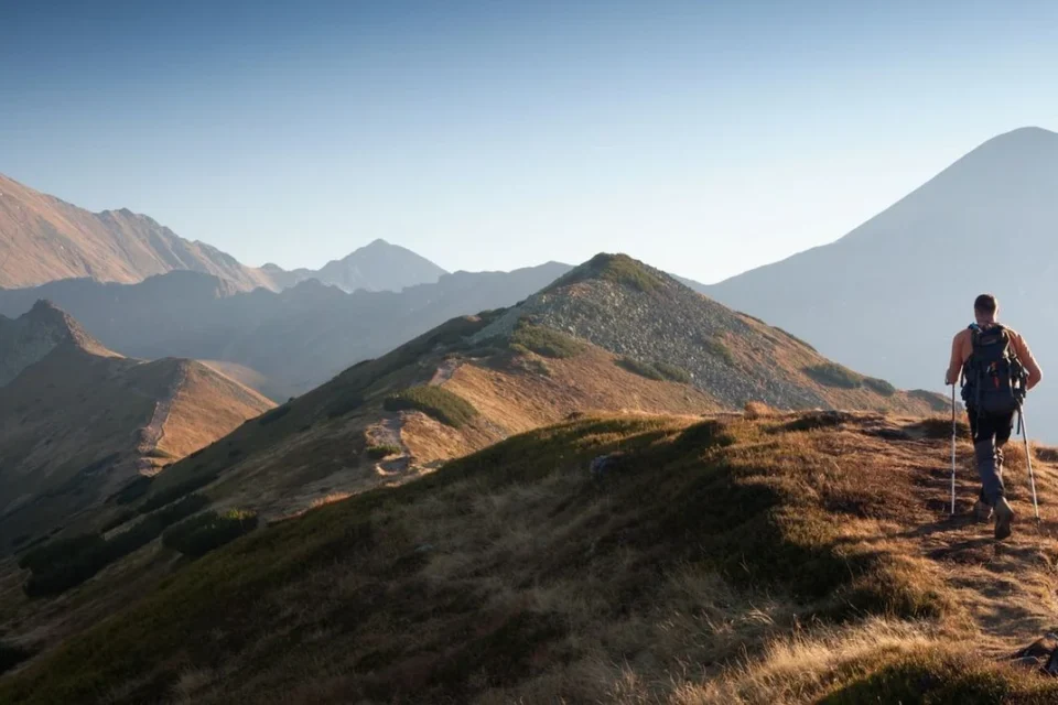 Українські Національні Новини (УНН)