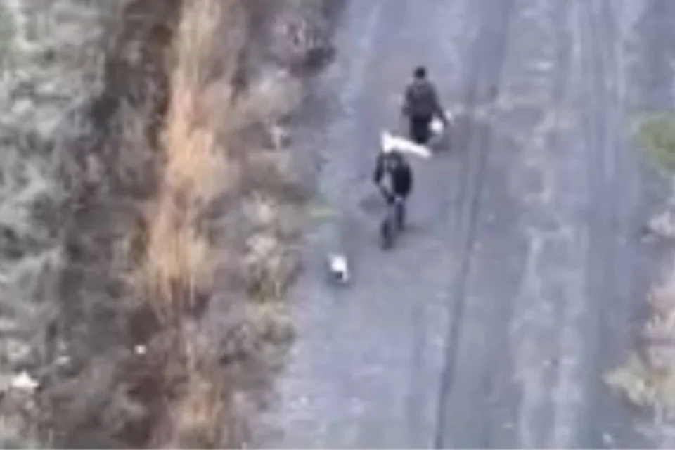 Йшли під білим прапором: окупанти вбили двох цивільних та собаку FPV-дронами, прокуратура розпочала розслідування