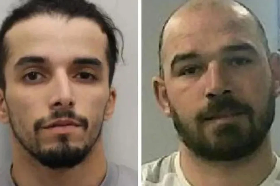 Українські Національні Новини (УНН)