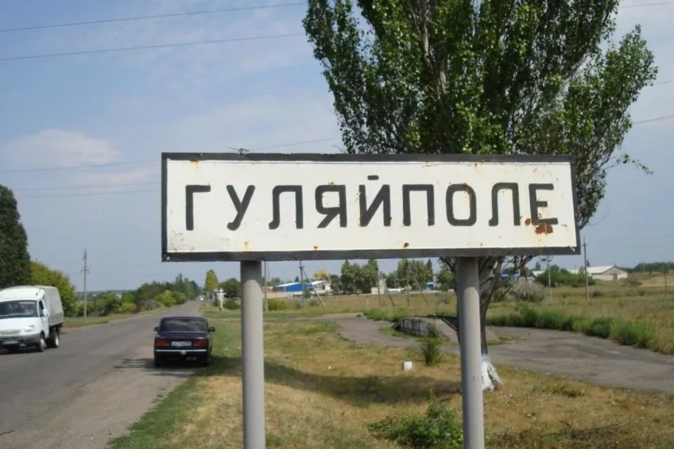 Сили оборони активно знищили росіян, які бігли в Гуляйполе - Коваленко