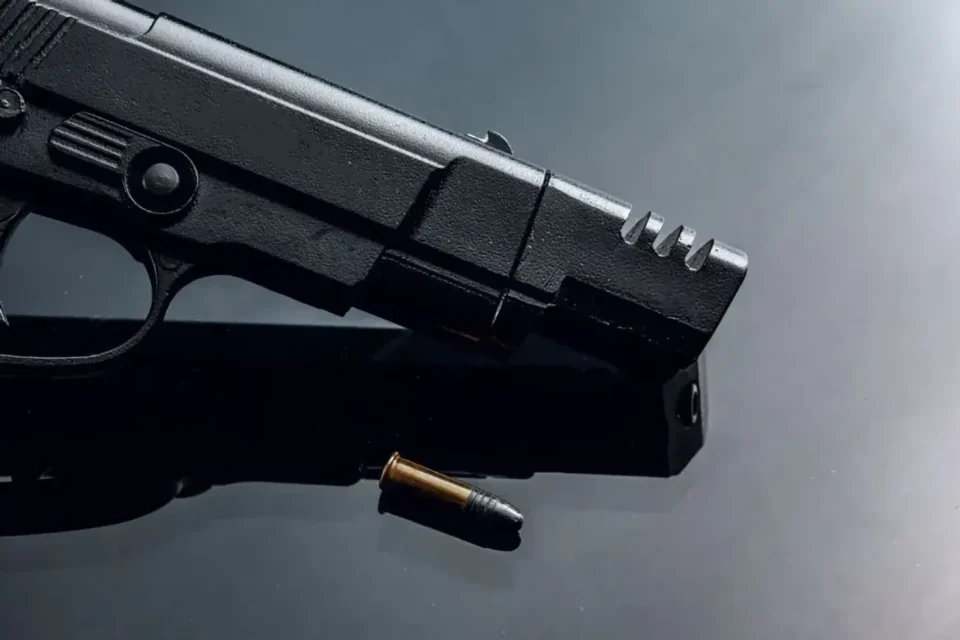 Понад 13 тисяч українців задекларували вогнепальну зброю: яку найчастіше