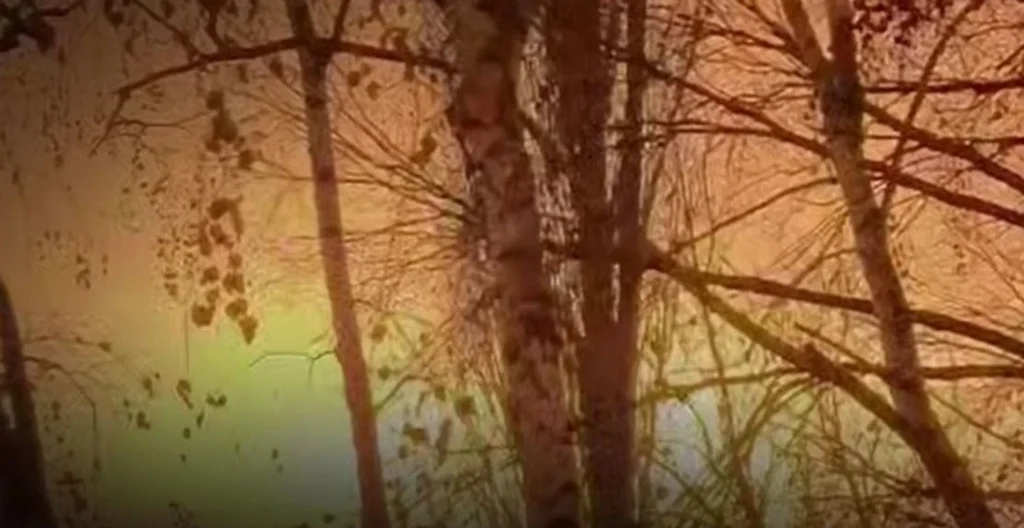 Генштаб підтвердив ураження Саратовського НПЗ, складу дронів на аеродромі "Саки" та інших об