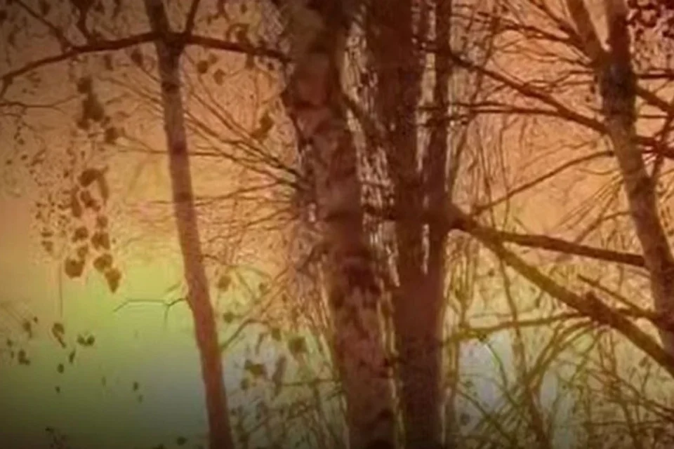 Генштаб підтвердив ураження Саратовського НПЗ, складу дронів на аеродромі "Саки" та інших об