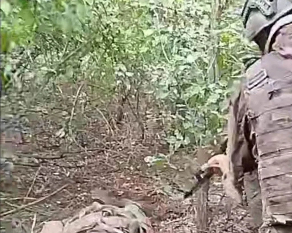 Окупанти розстріляли військовополоненого на Покровському напрямку - прокуратура