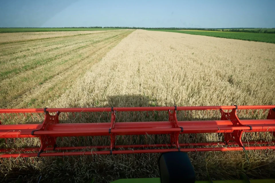 Українські Національні Новини (УНН)