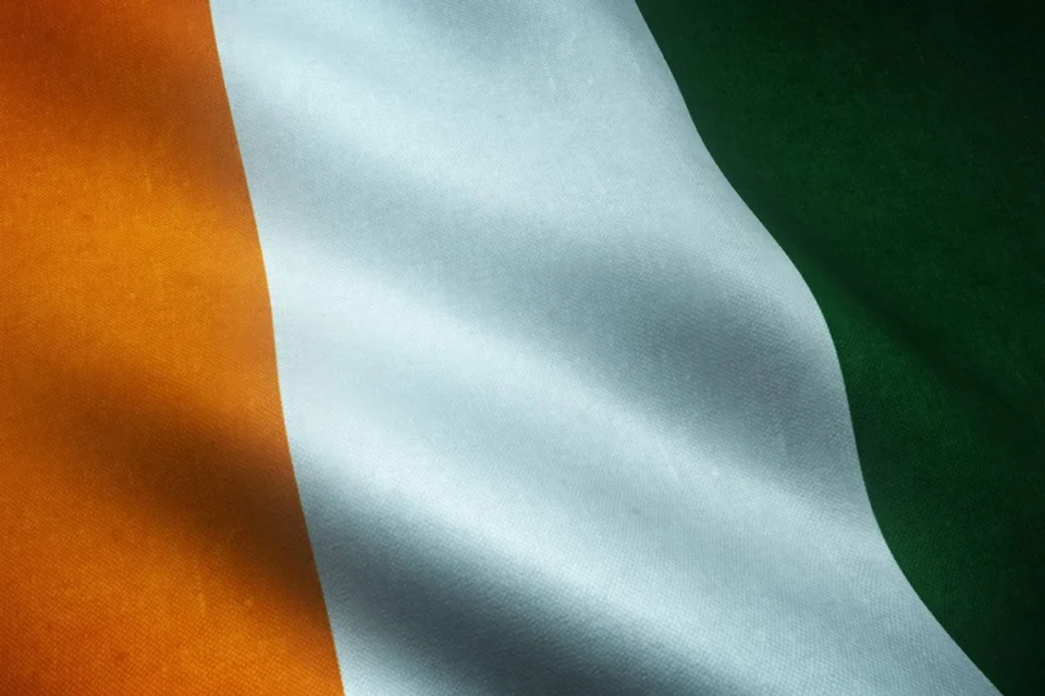 Ірландія готова долучитися до моніторингу припинення вогню в Україні