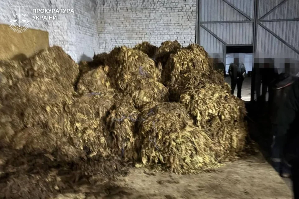 Вирощували, переробляли, збували: ліквідовано підпільне виробництво тютюну на понад 25 млн грн у трьох областях