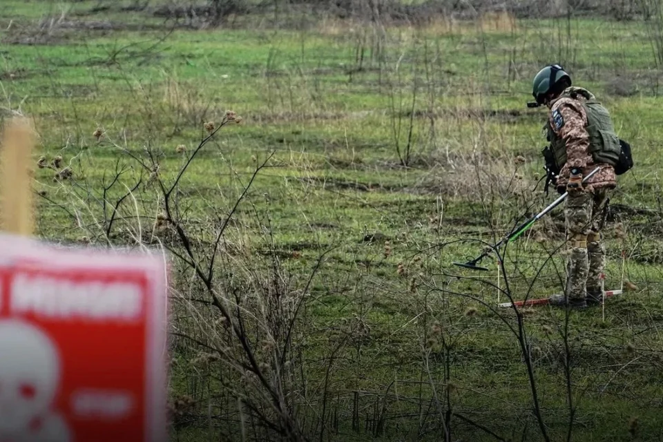 За 2025 рік сапери розмінували понад 45 тисяч гектарів українських території