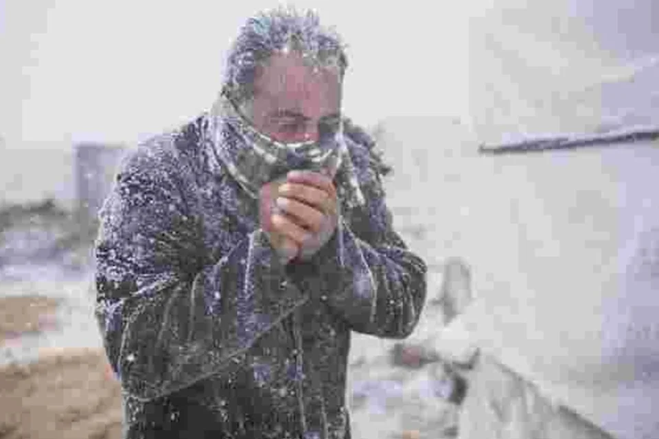 Українські Національні Новини (УНН)