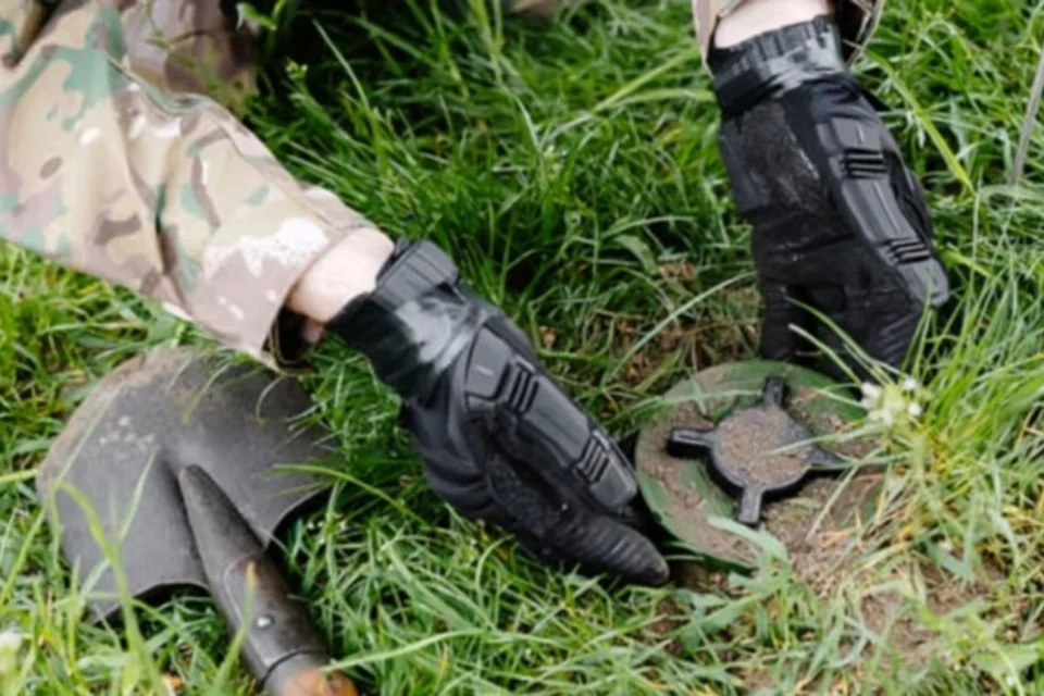 Фінляндія офіційно вийшла з Оттавської конвенції про заборону протипіхотних мін