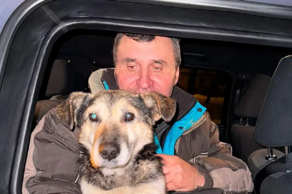 Поліцейські