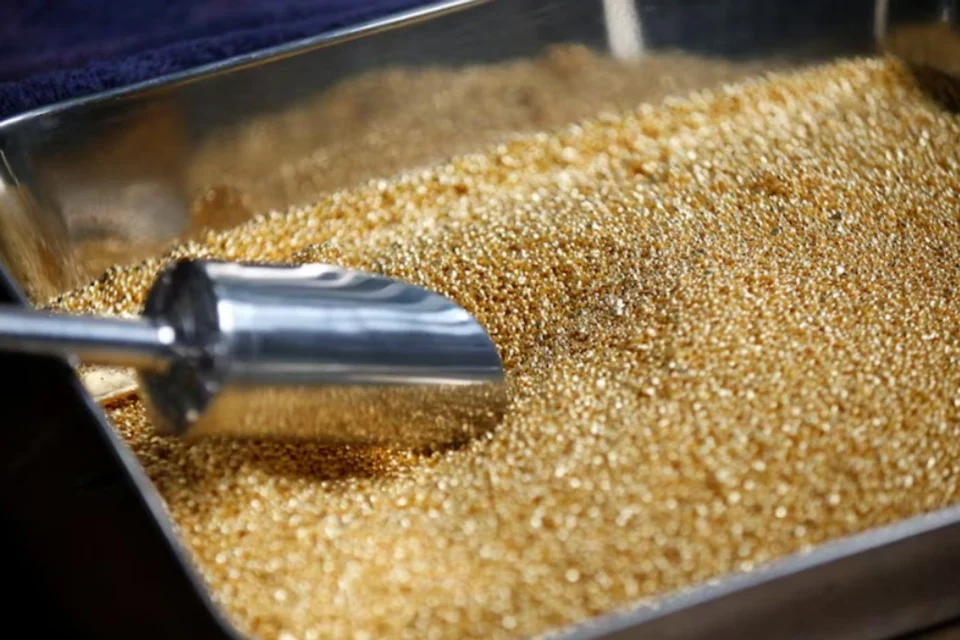 Українські Національні Новини (УНН)