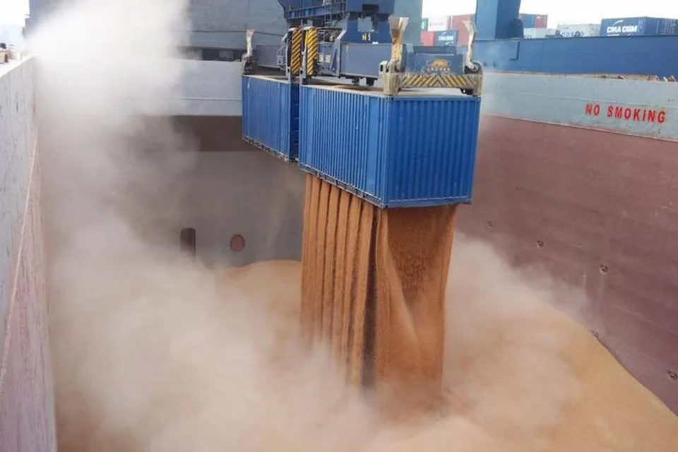 Українським морським коридором перевезено 100 мільйонів тонн зерна - Кулеба