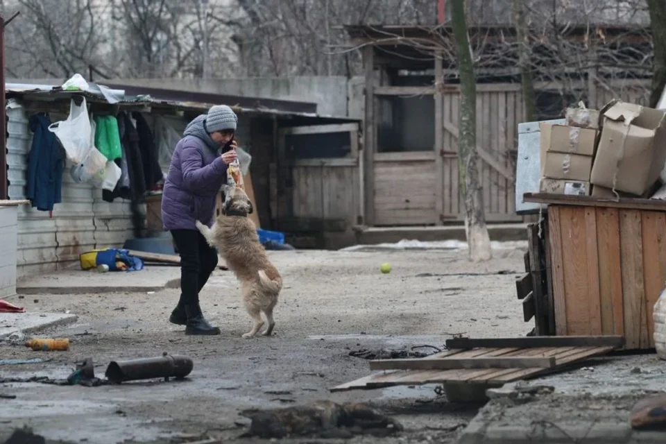 Українські Національні Новини (УНН)