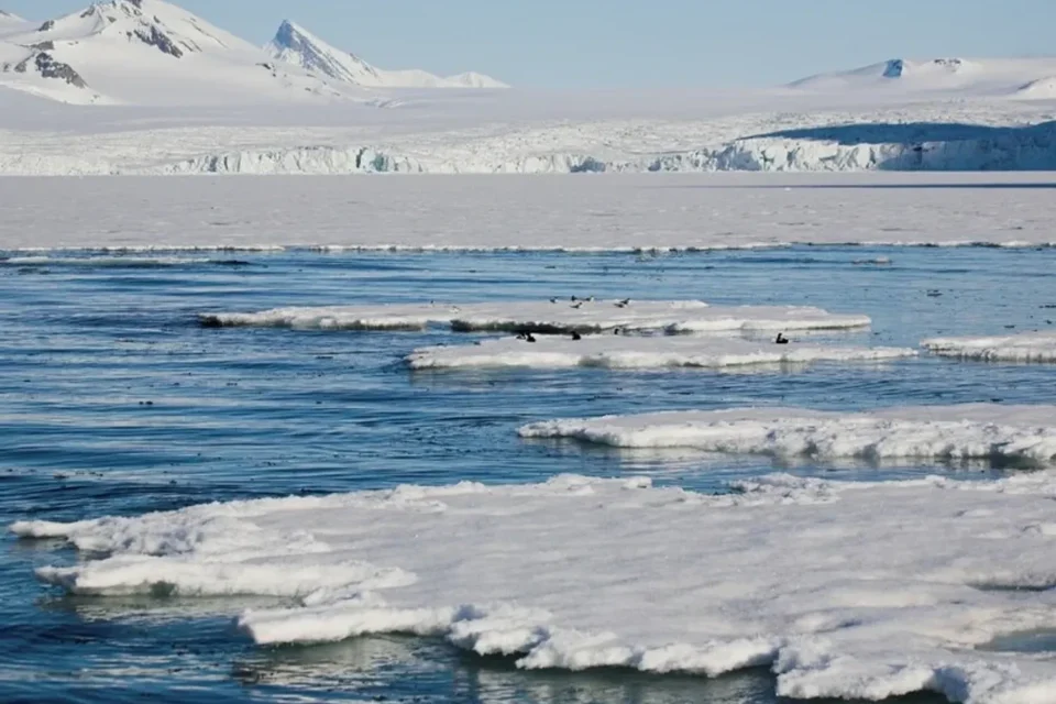 Українські Національні Новини (УНН)
