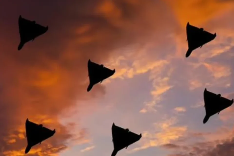 Зеленський готовий направити експертів зі знищення іранських безпілотників в обмін на перемир