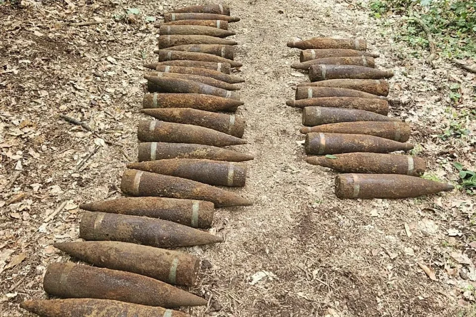 У Берліні в лісі знайшли 59 нерозірваних снарядів часів Другої світової війни